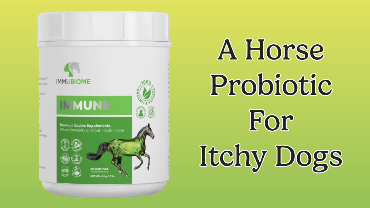 Horse Probiotic for Itchy Dogs