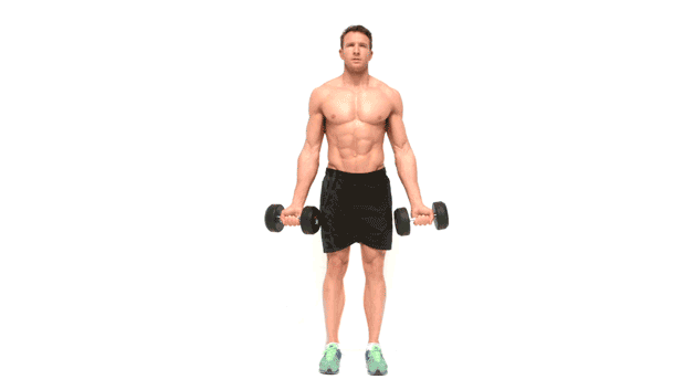 Bicep Curls