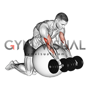 Preacher Bicep curls