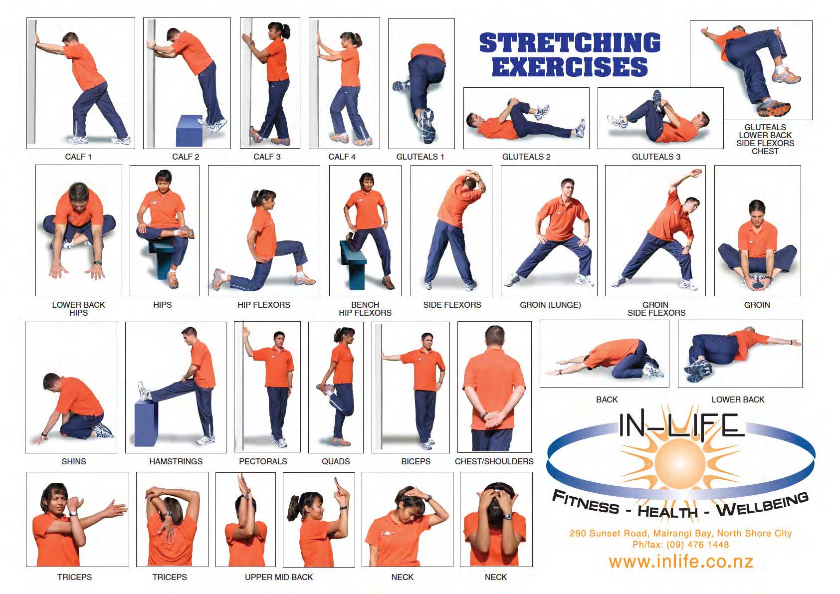 Stretching Chart