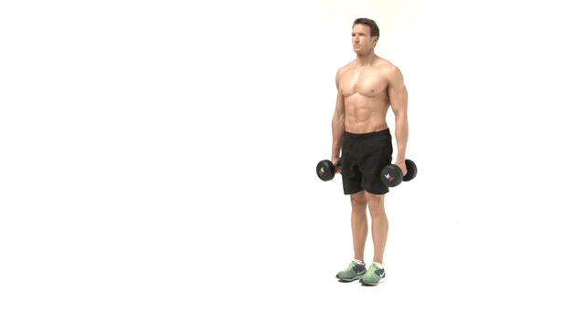 Dumbbell Lunges