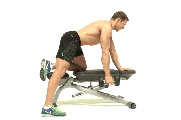 One Arm Dumbbell Rows