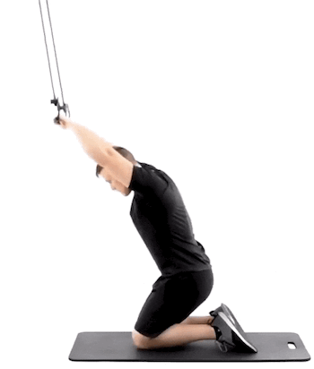 Straight Arm Pulldowns