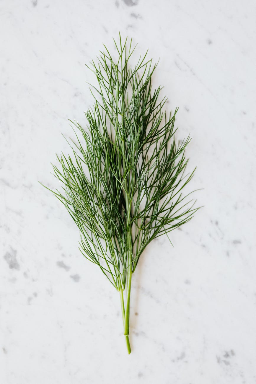 Spice Dill