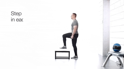 Bench Step Ups