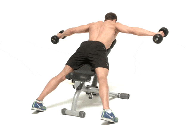 Shoulders Rear lateral raise face down on bench