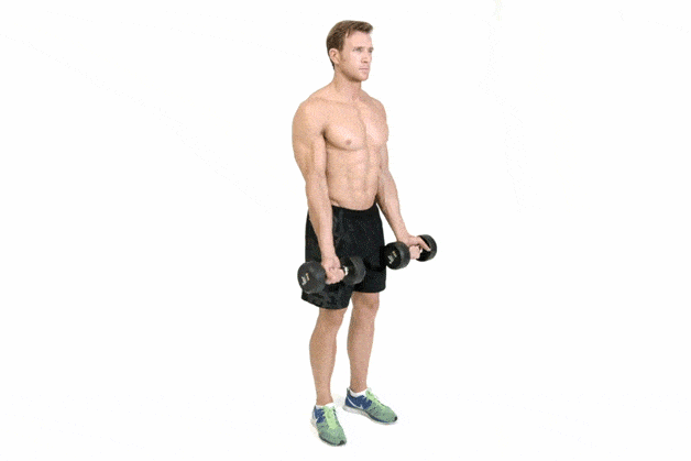 Arms: Zottman Curls