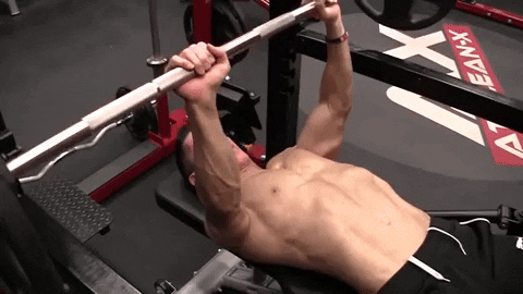Arms: Close Grip Bench Press