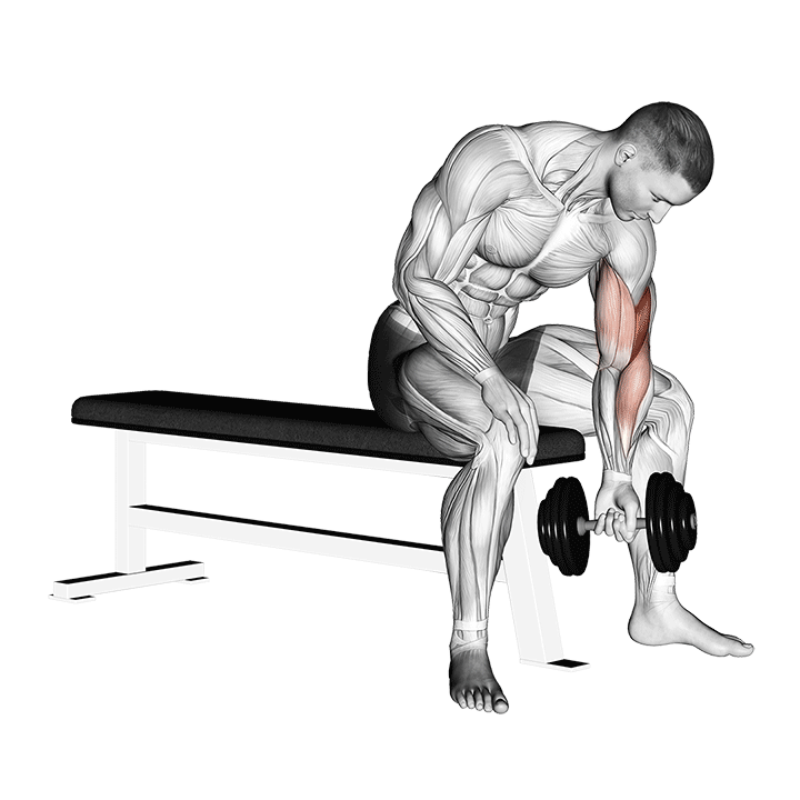 One Arm Concentration Curls