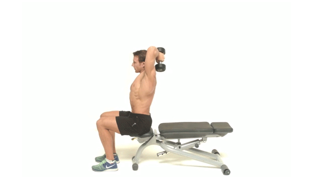 One Arm Overhead Extensions