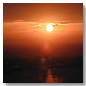 Sunshine Small 1