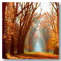 The beautiful colors of the sun