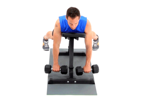Traps_shoulders