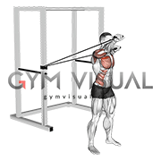 Band Alt Arm Chest Flys