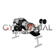 Dumbbell Decline Chest Flys