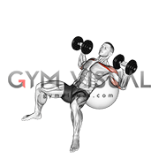 Ball Incline Chest Press