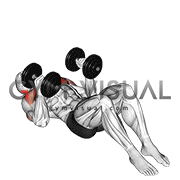Floor Hammer Chest Press