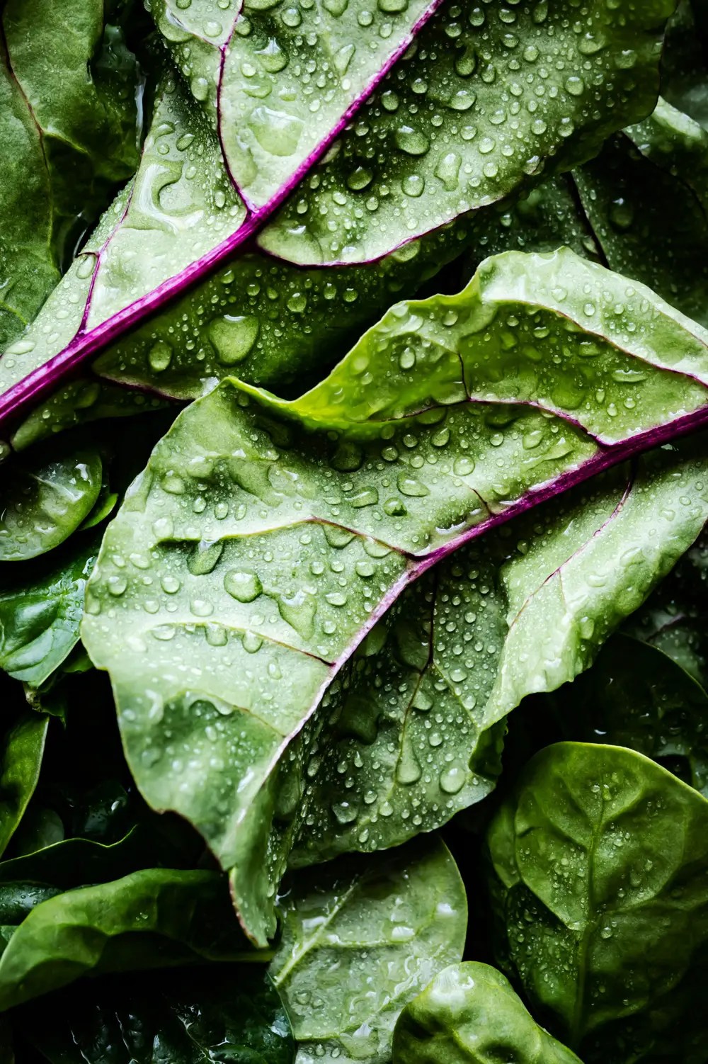 Grow your own food