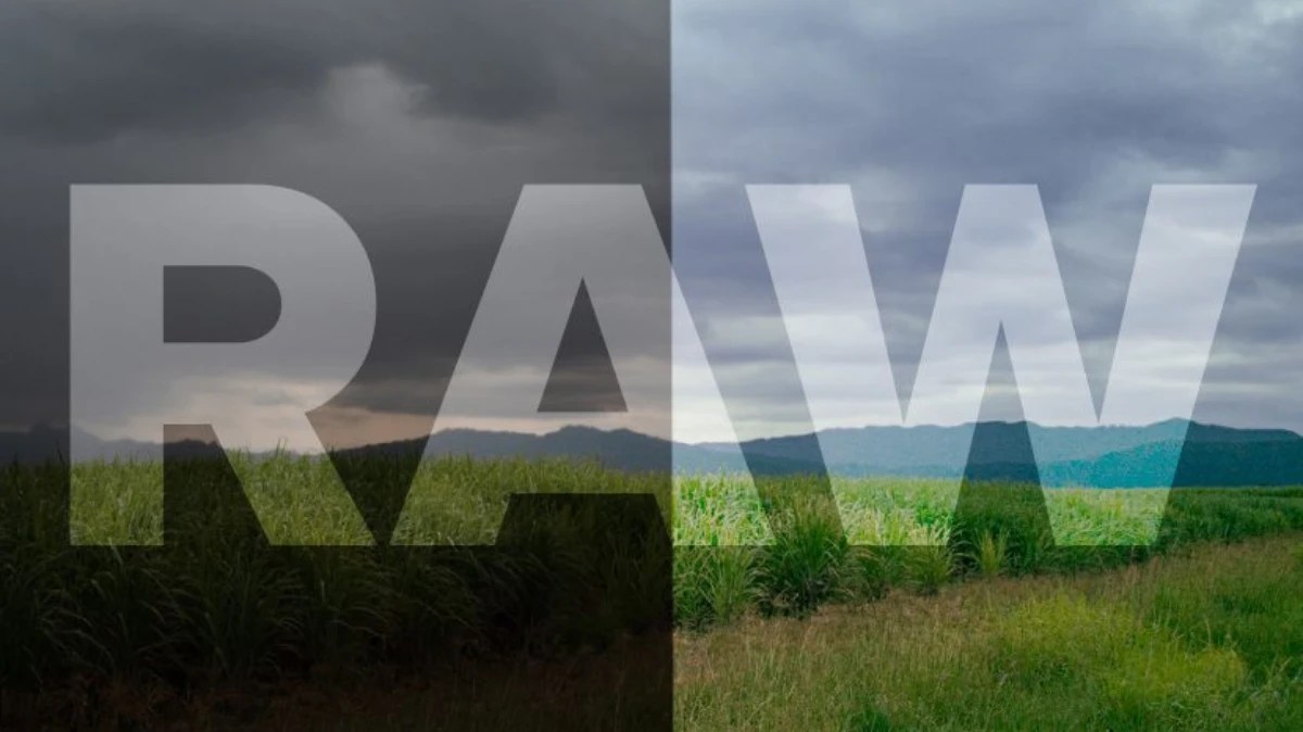 formato RAW vai chegar a muitas mais apps para Android
 #ÚltimasNotícias #tecnologia