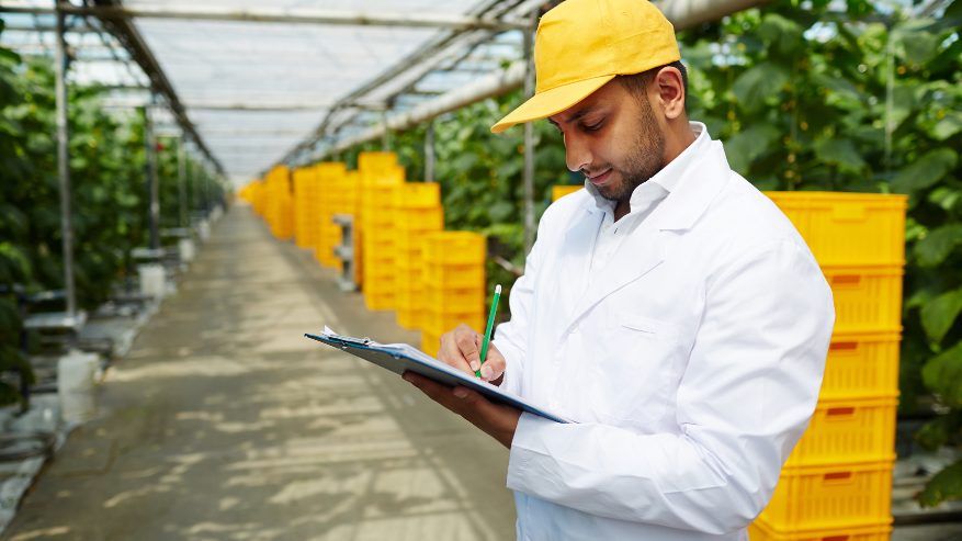 Field Operations Manager