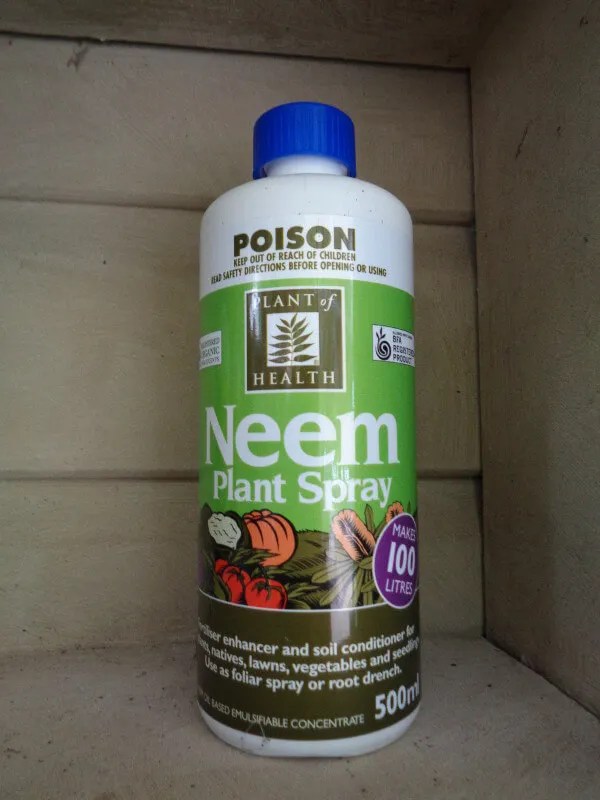 Neem