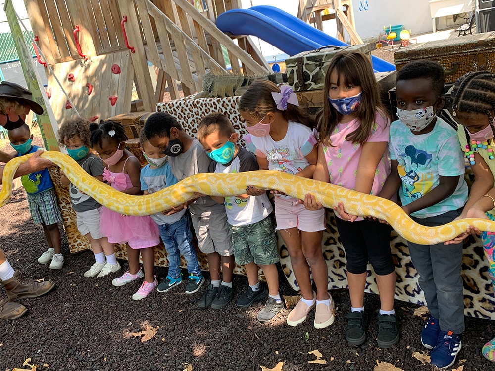 Preschool children learning about reptiles while safely holding a large snake during Reptile Day at Precious Lamb.