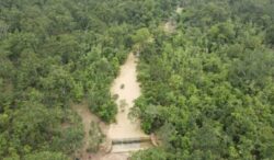 वन पारिस्थितिकी तंत्र सेवाएं और राज्य जीडीपी में उनका योगदान’ विषय पर 21 फरवरी को नवा रायपुर में कार्यशाला वन पारिस्थितिकी तंत्र सेवाएं और राज्य जीडीपी में उनका योगदान’ विषय पर 21 फरवरी को नवा रायपुर में कार्यशाला