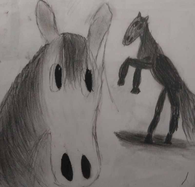 The Ponies Github - Ultra HD Sunset Designs for Desktop