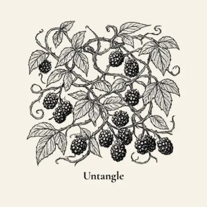 Tangled blackberry vines with the word Untangle