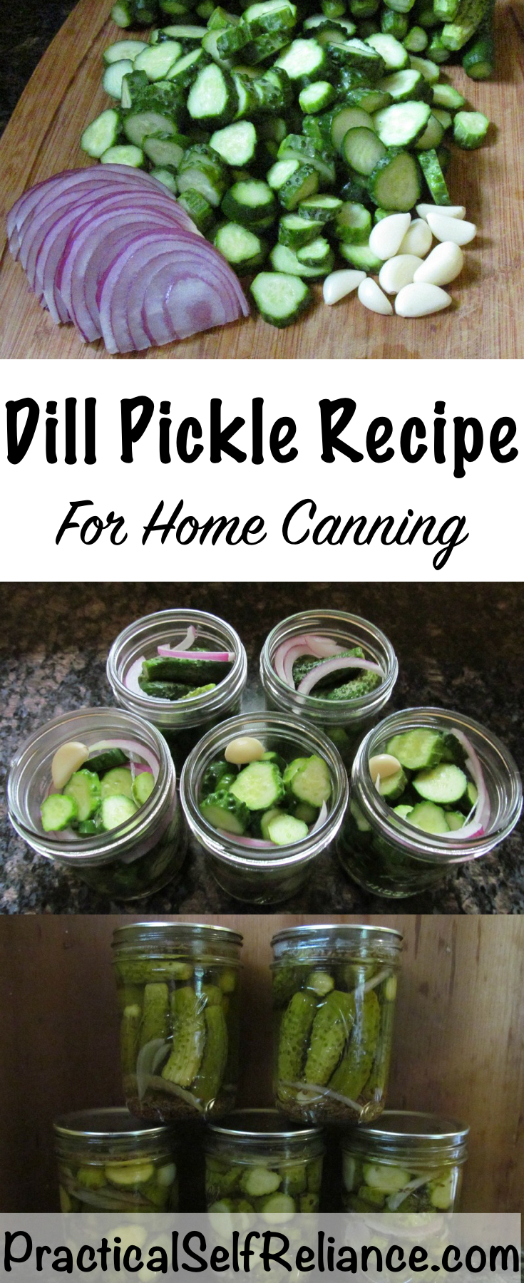 Dill Pickle Recipe for Home Canning