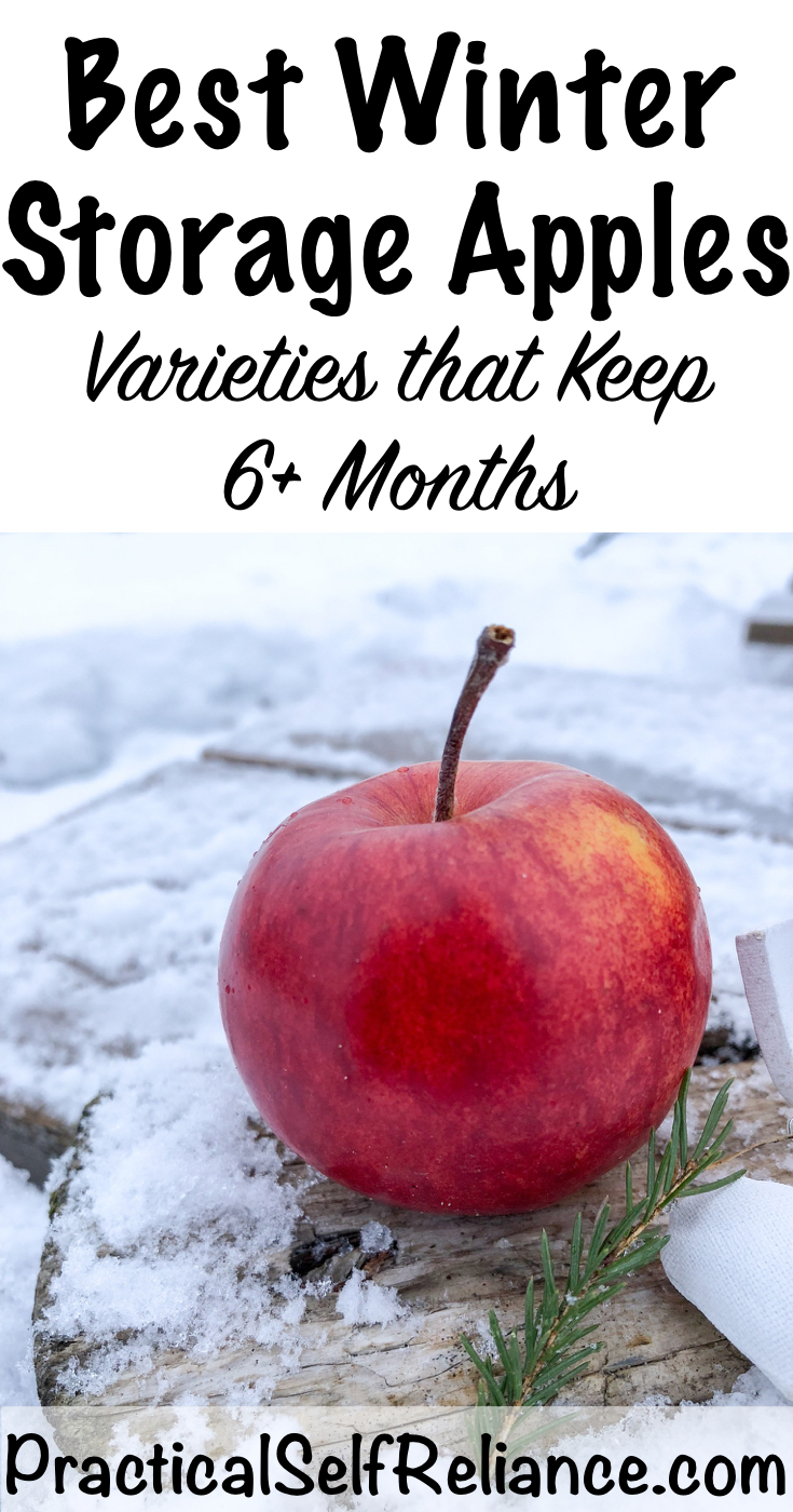 Winter Storage Apples