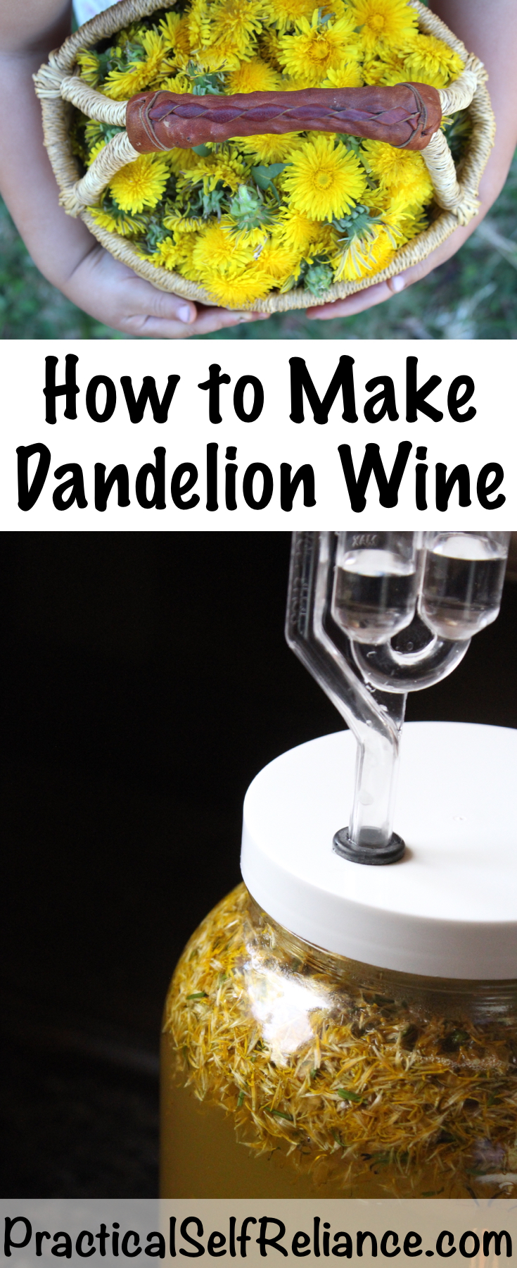 Dandelion Wine Recipe