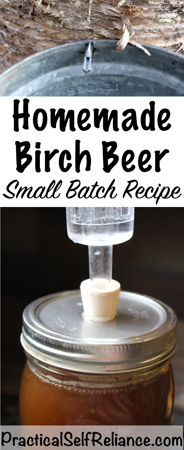 Homemade Birch Beer