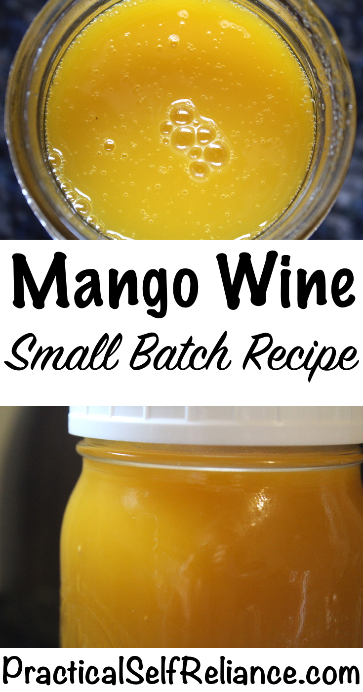 Mango Wine Recipe