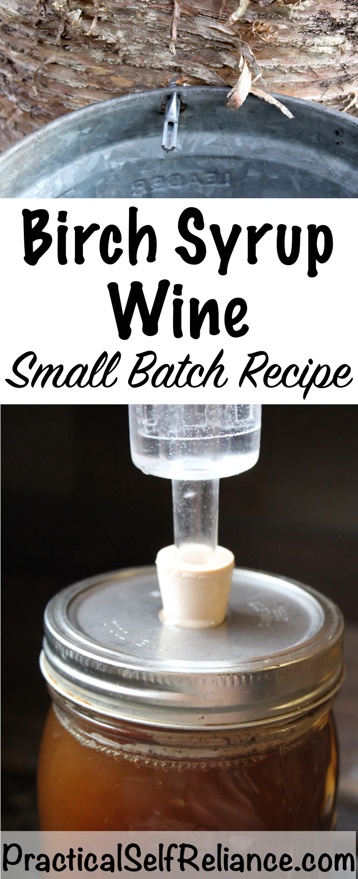 Small Batch Birch Wine