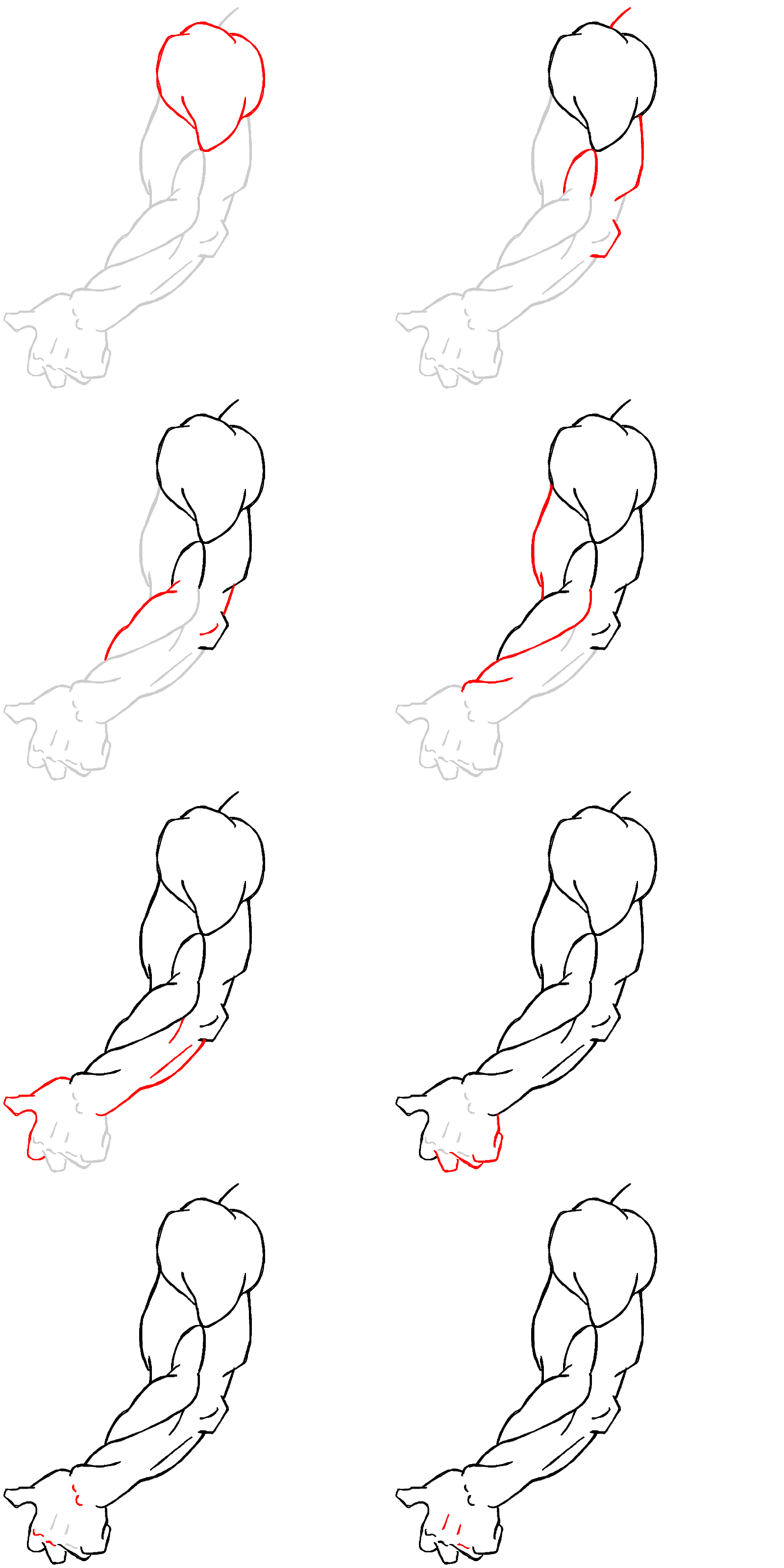 Drawing demo: flexing arm