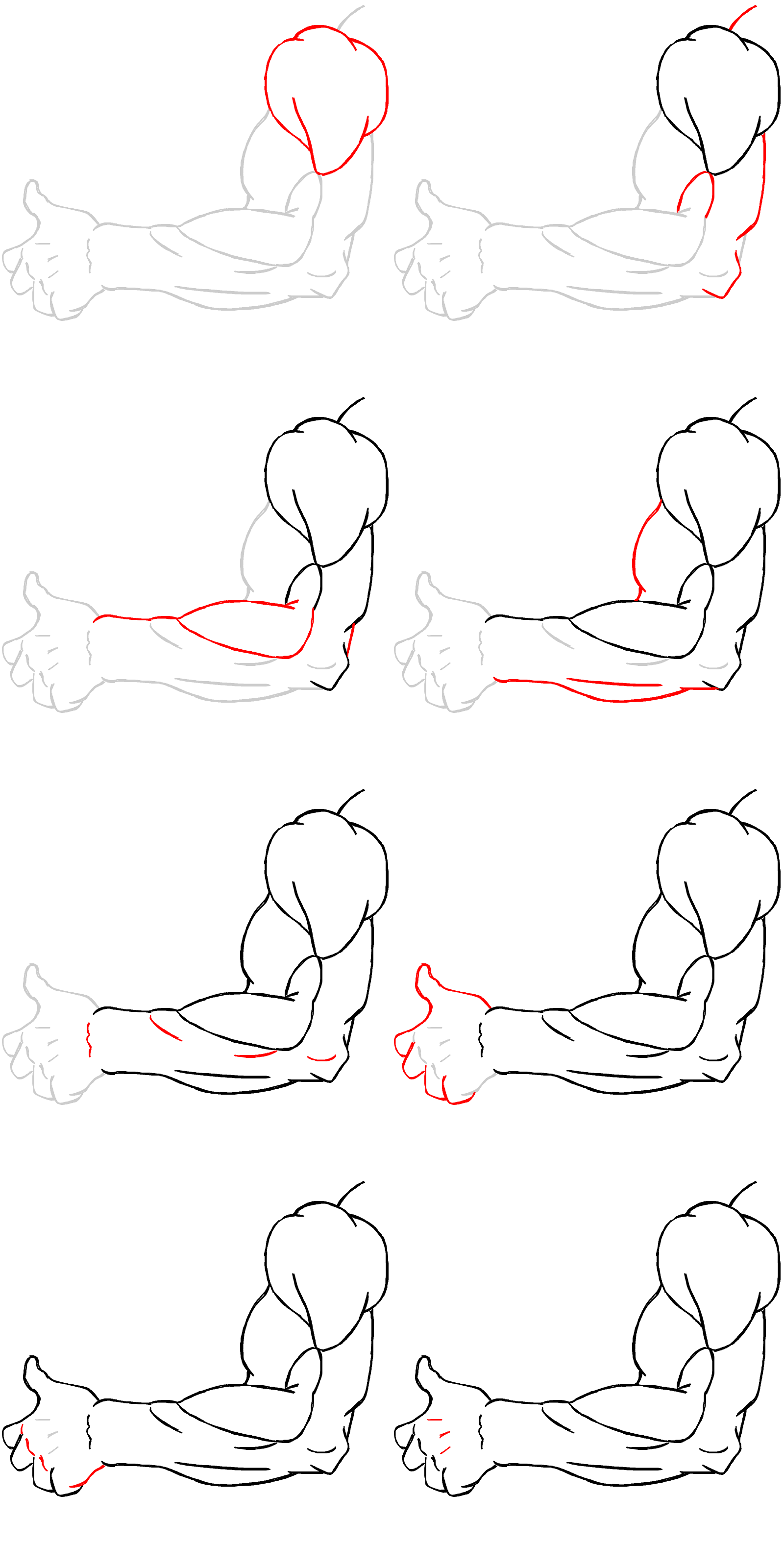 Drawing demo: flexing arm