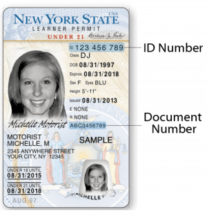 How to get your learner's permit