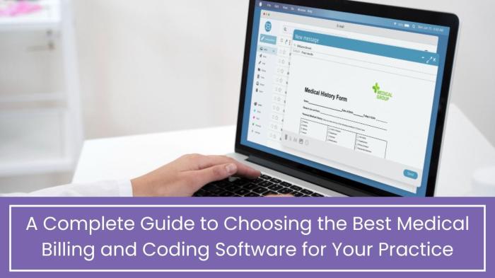 Medical Accounting Software For Healing Practices