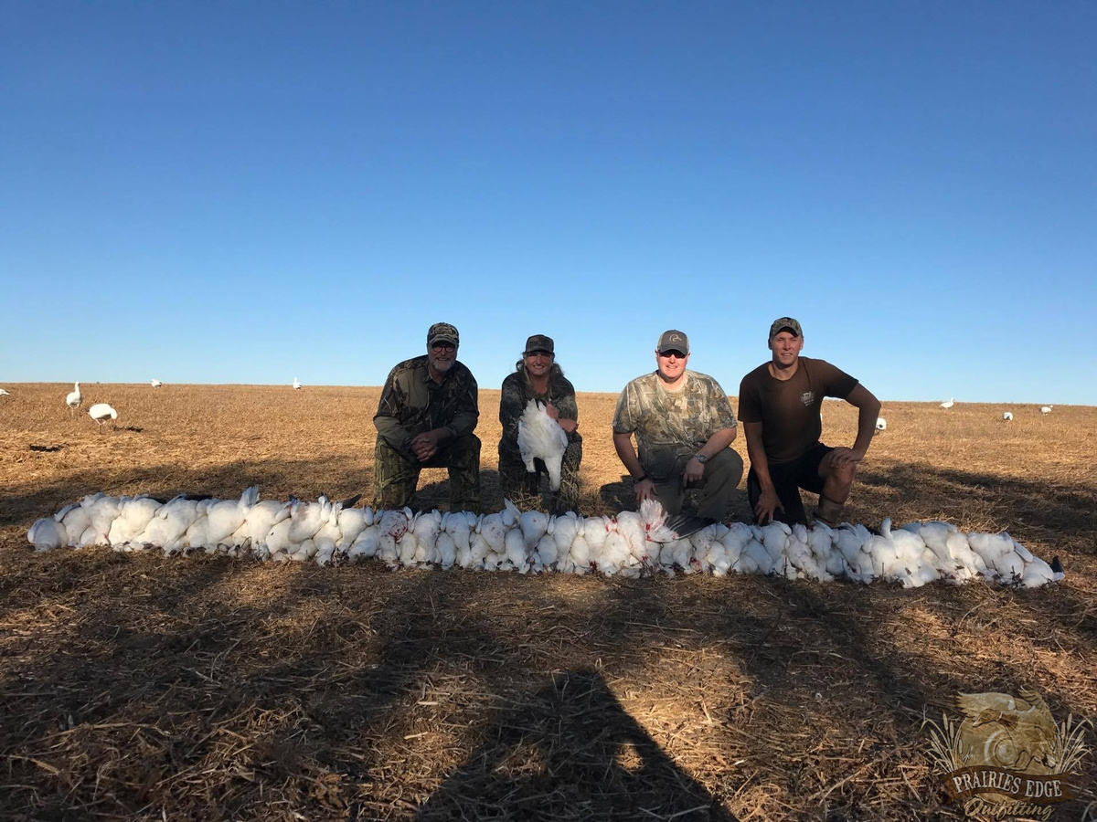 Saskatchewan duck hunting regulations & season dates