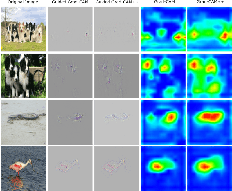 Grad Cam Visualization Issue 24 Yaoing Dan Github - Dark Wallpapers - Stunning HD Collection