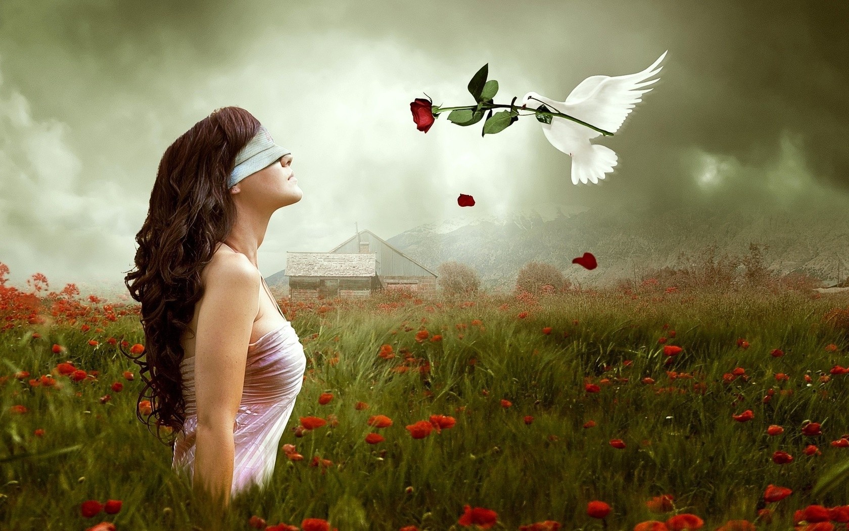 Love is not blind - Prasad Modak's Blog
