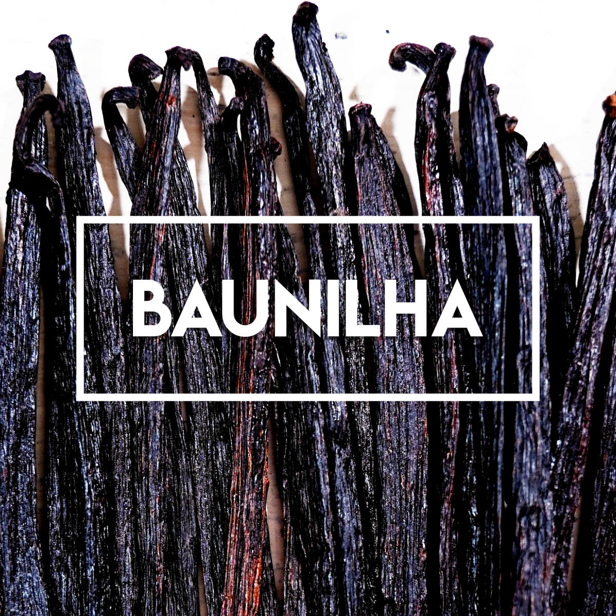 favas de baunilha sobre uma superf&iacute;cie com texto escrito baunilha.