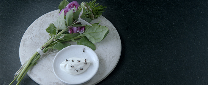 Noma: My Perfect Storm - Prato