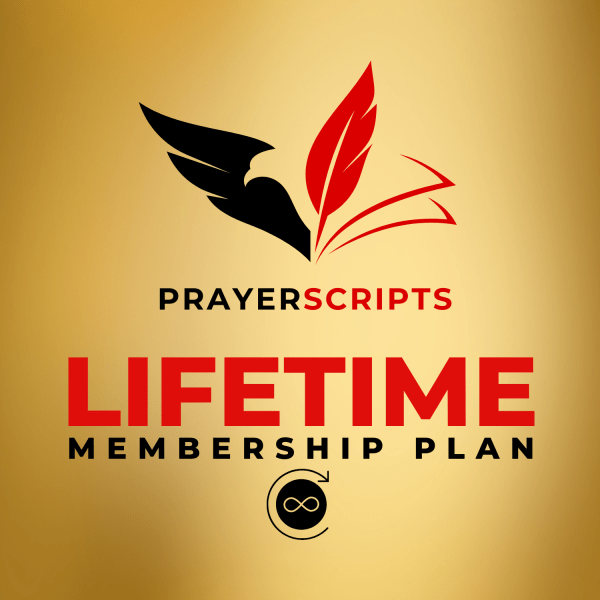 Lifetime Access Plan