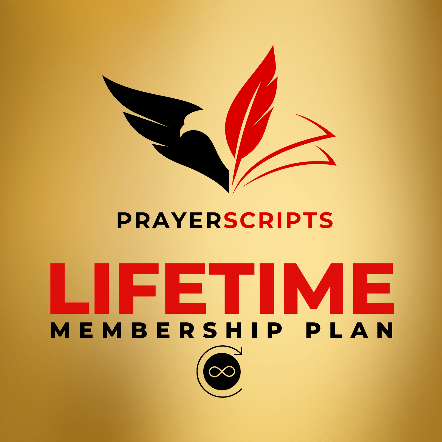 Lifetime Access Plan