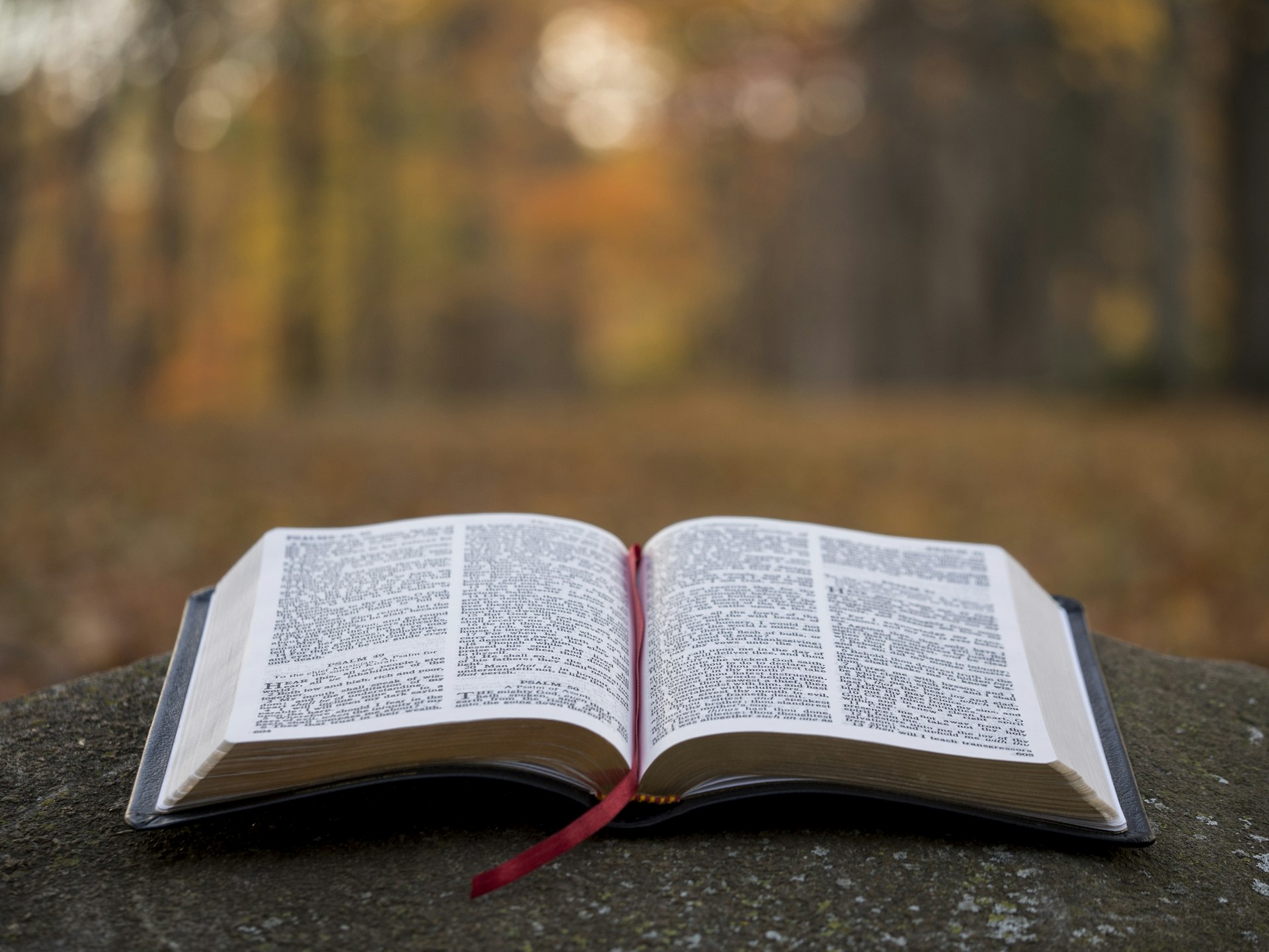 open bible page with scripture on gray concrete surface