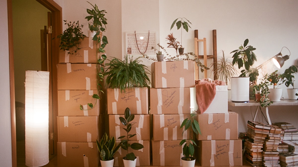 Cardboard moving boxes in an empty room during a housing crisis