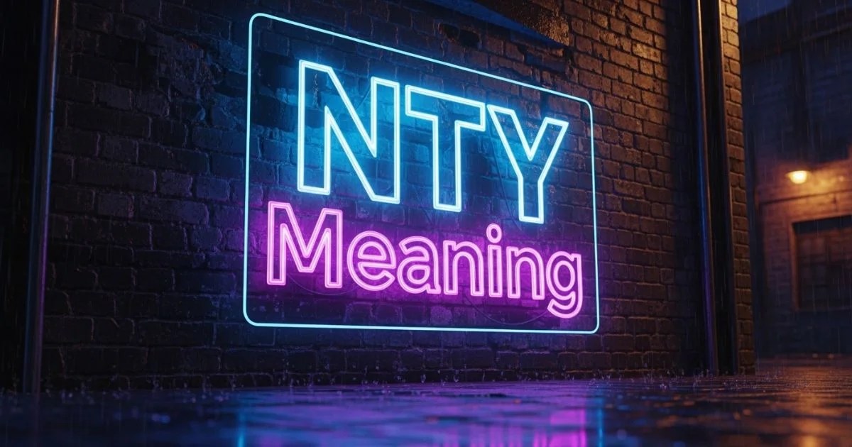 What Does NTY Meaning Plus When How To Use It Nty Meaning 