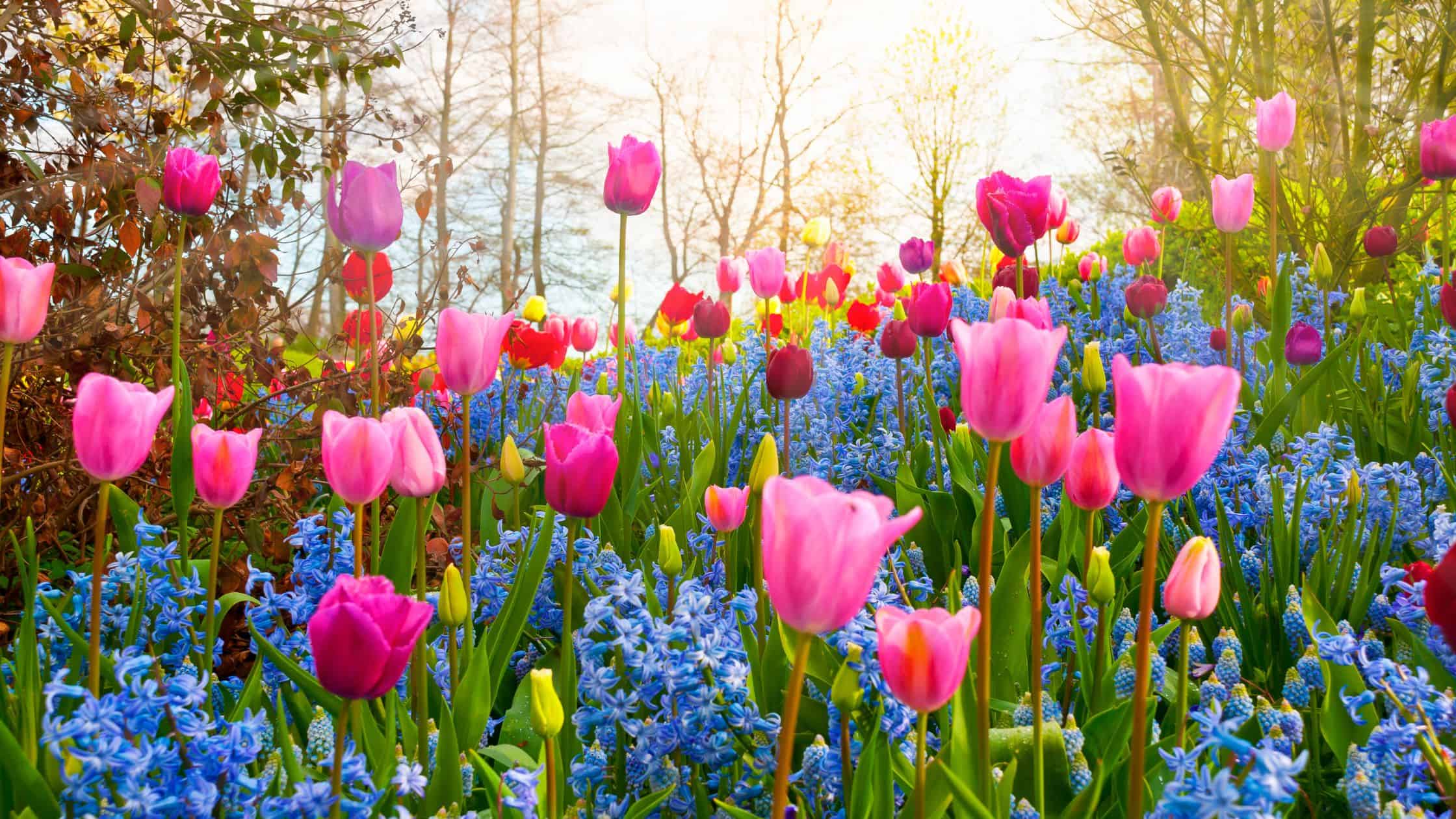 10 uplifting prayers for spring